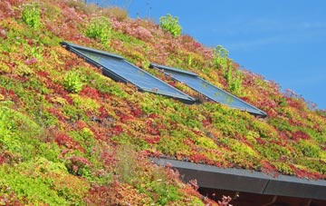Marsh Gibbon living roof systems